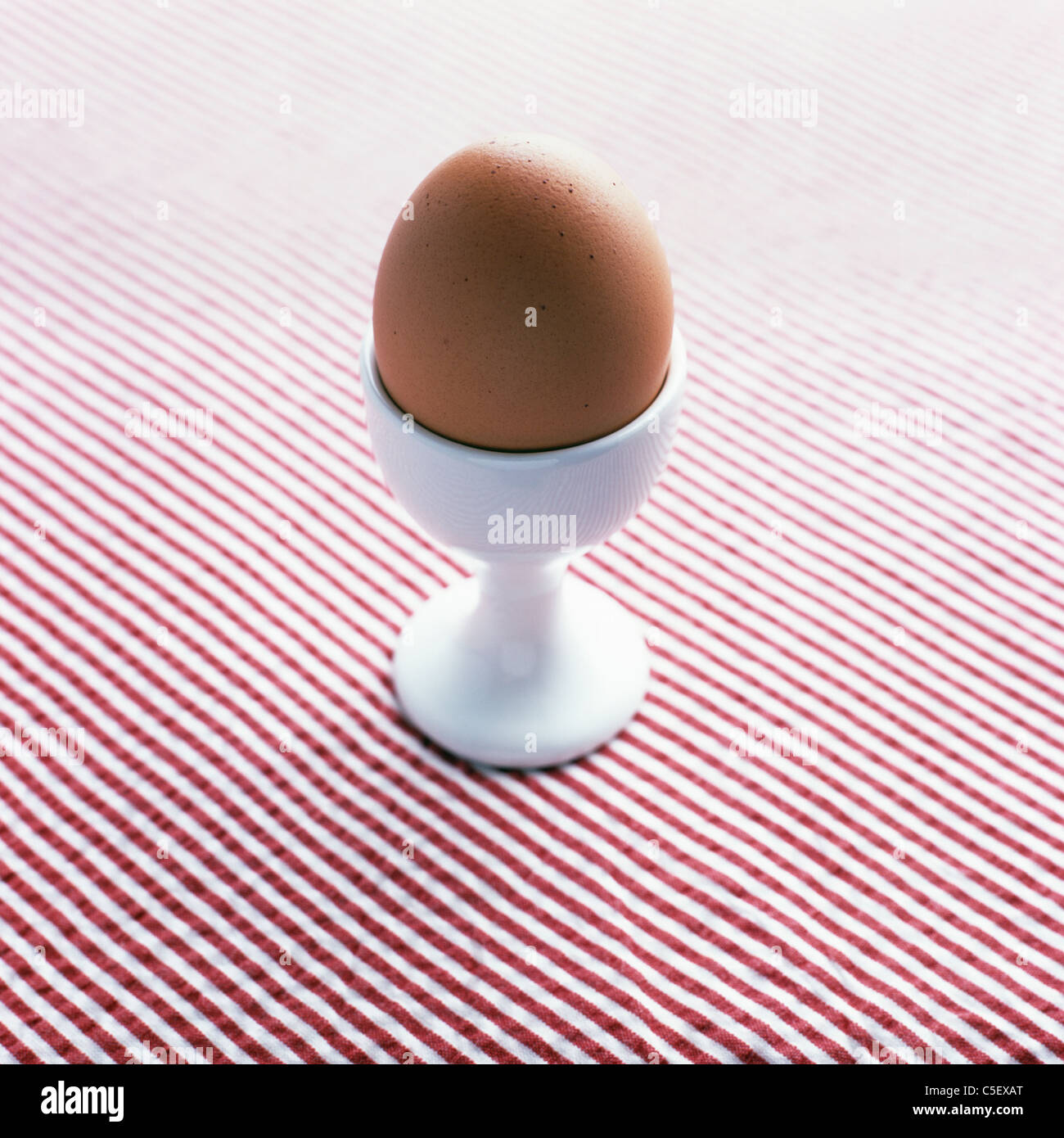 Brown egg in white egg cup Stock Photo