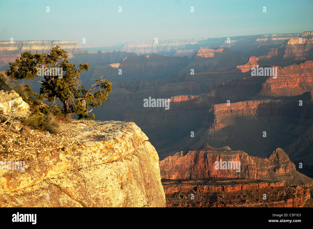 The buttes of the Grand Canyon are bathed fiery red and yellow during