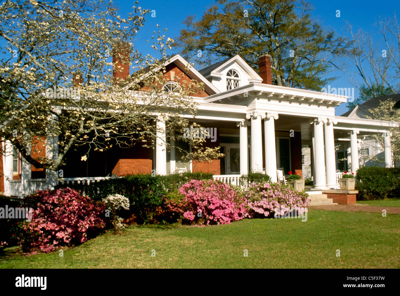 Lovely brick southern home with columns, porch and blooming