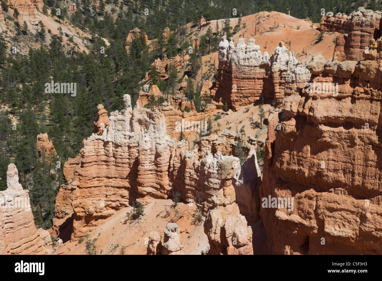 Bryce Canyon National Park, near Cedar City, UT Stock Photo