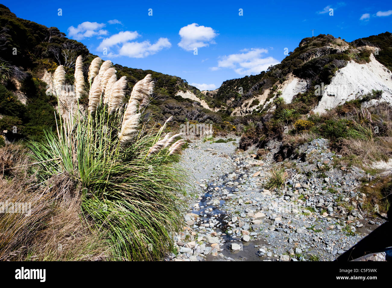Adrangi Range, Cape Palliser, North Island, New Zealand Stock Photo