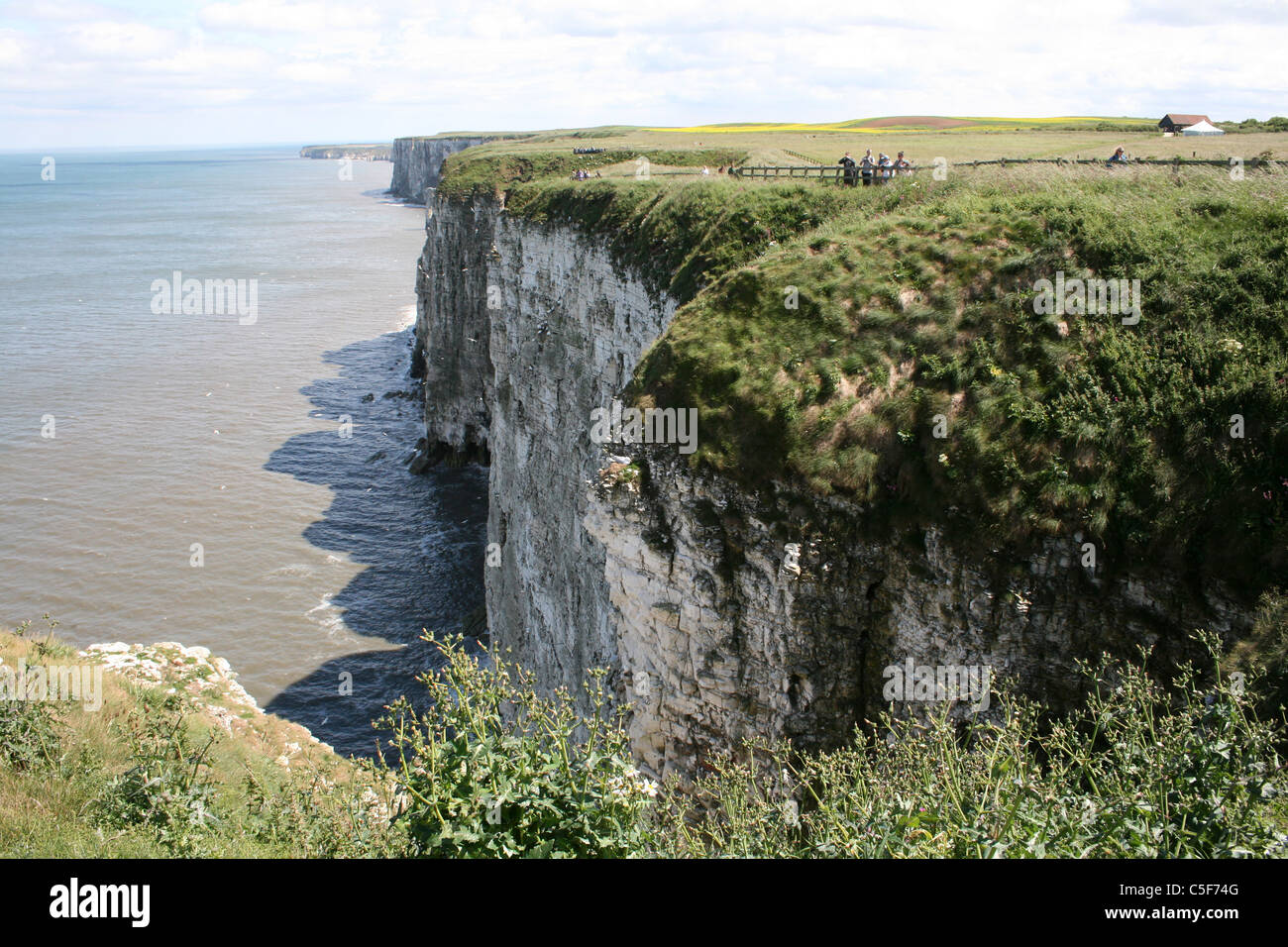 Seabird Nesting Cliffs At Bempton Cliffs RSPB Reserve, East Yorkshire, UK Stock Photo