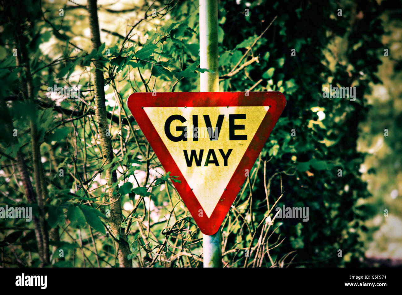 Give Way Line