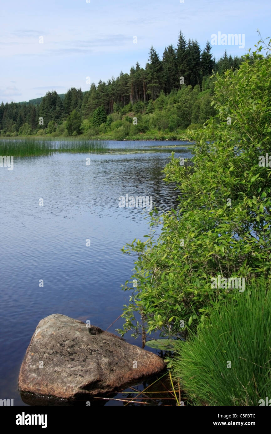 View of Stroan Loch from the Raiders Road forest drive in Galloway Forest Park, Dumfries and Galloway. Stock Photo