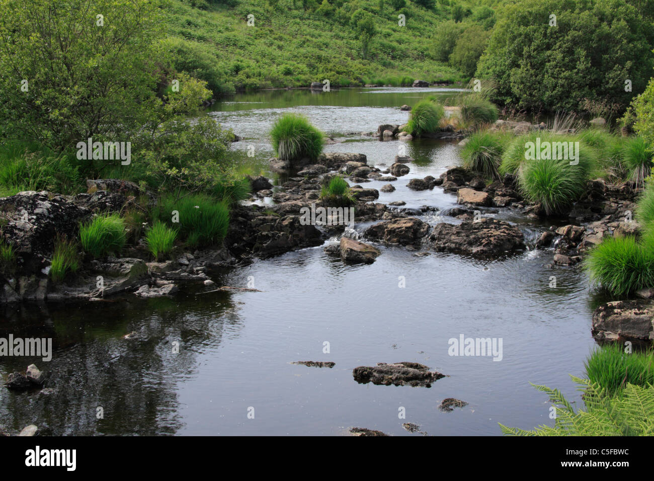 River Dee near Stroan Loch in the Galloway Forest Park, Dumfries and Galloway, Scotland. Stock Photo