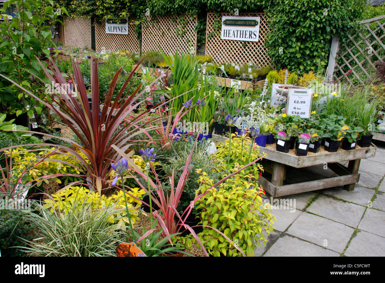 Garden centre hi-res stock photography and images - Alamy