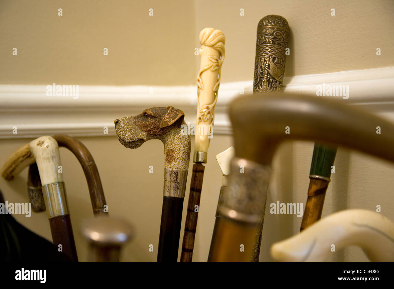 Walking stick collection Stock Photo