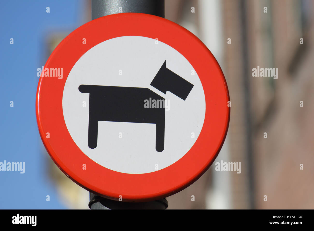 a sign which means NO DOGS ALLOWED Stock Photo
