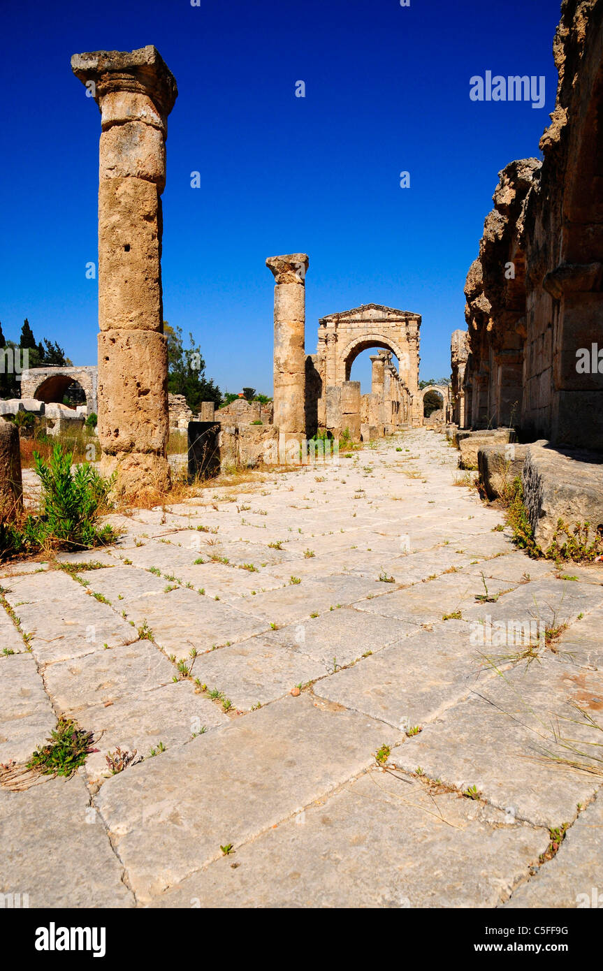Colonnaded street and the Roman Triumphal Arch, Al Bass site , Tyre (Sour), UNESCO World Heritage Site. Lebanon. Stock Photo