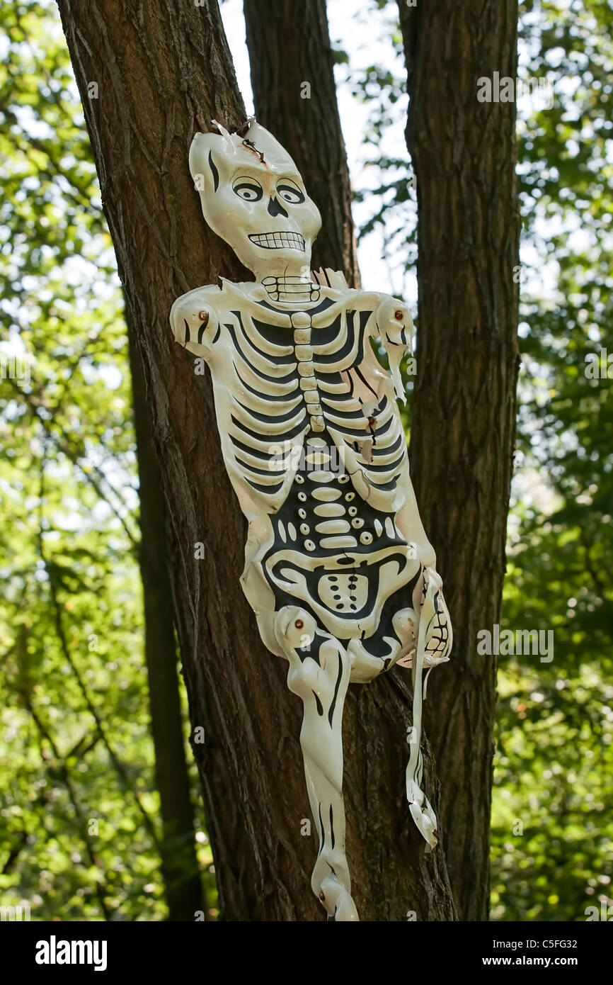 plastic human skeleton hanging over a tree in a forest Stock Photo - Alamy