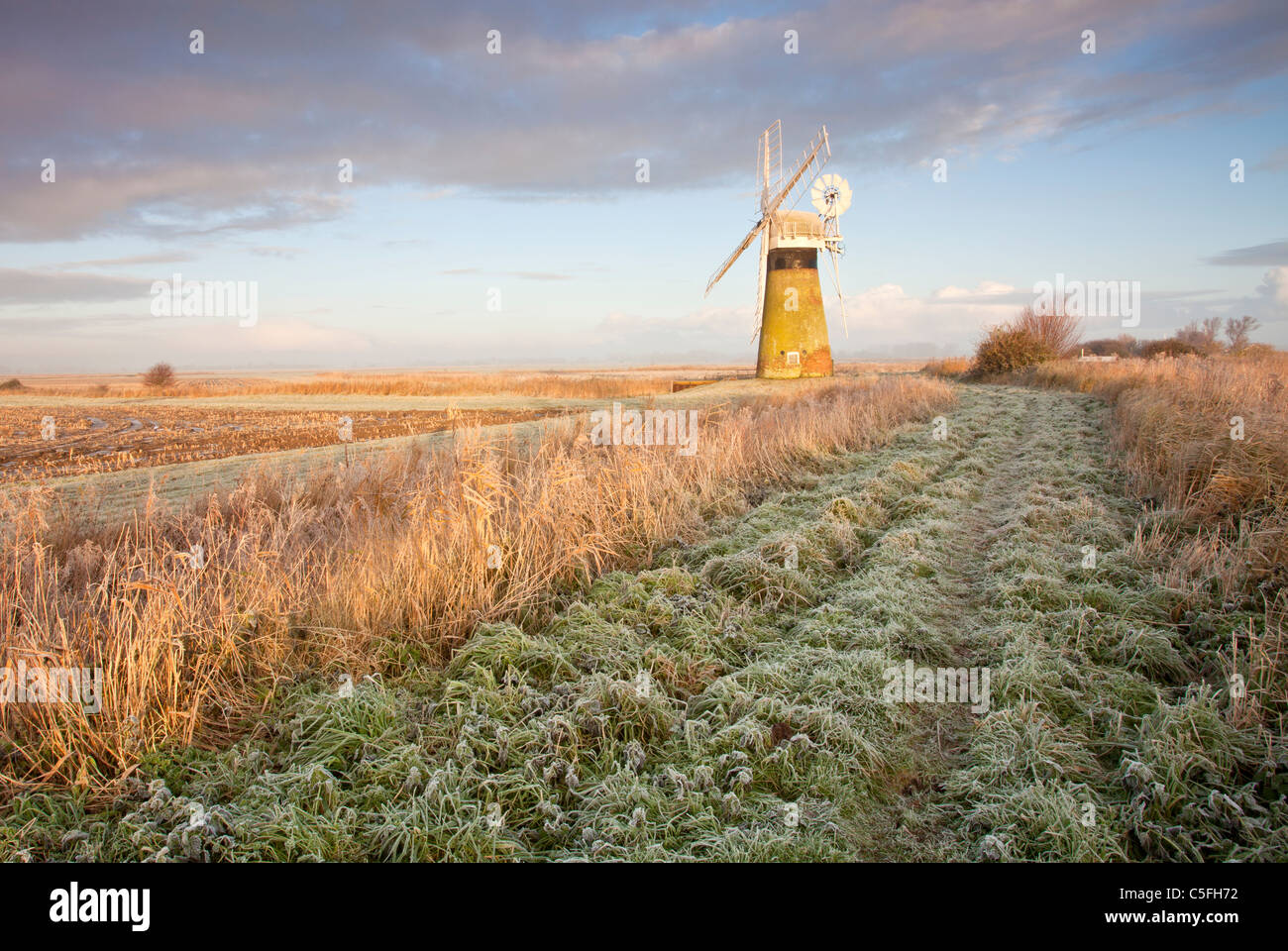 St Benet's Drainage mill on a frosty morning on the Norfolk Broads Stock Photo