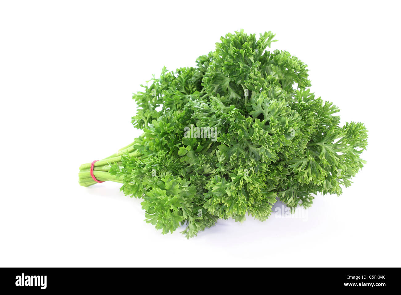 fresh green parsley on a white background Stock Photo - Alamy