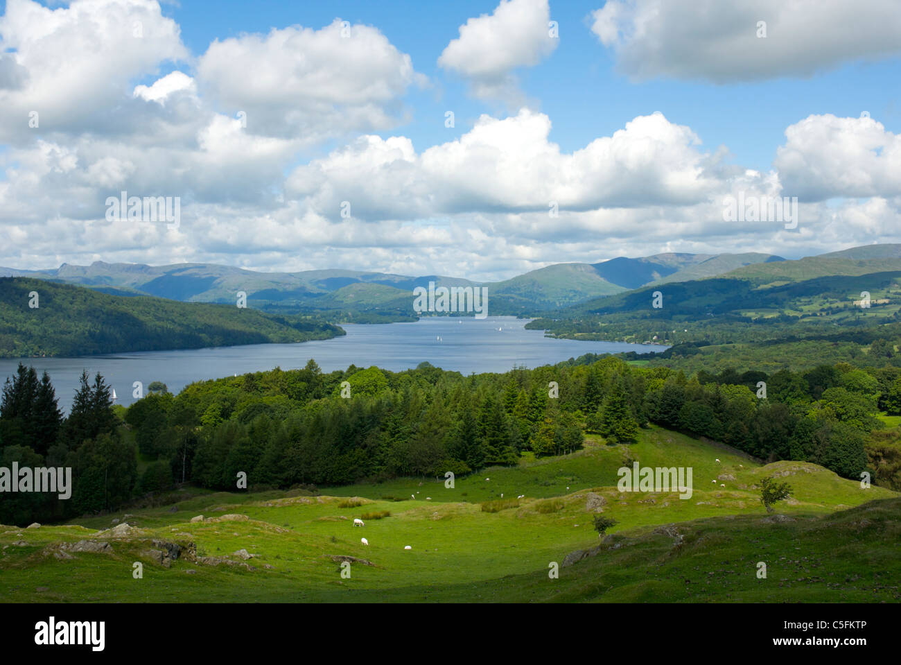 View Of Lake Windermere From Brant Fell, Near Bowness, Lake District 