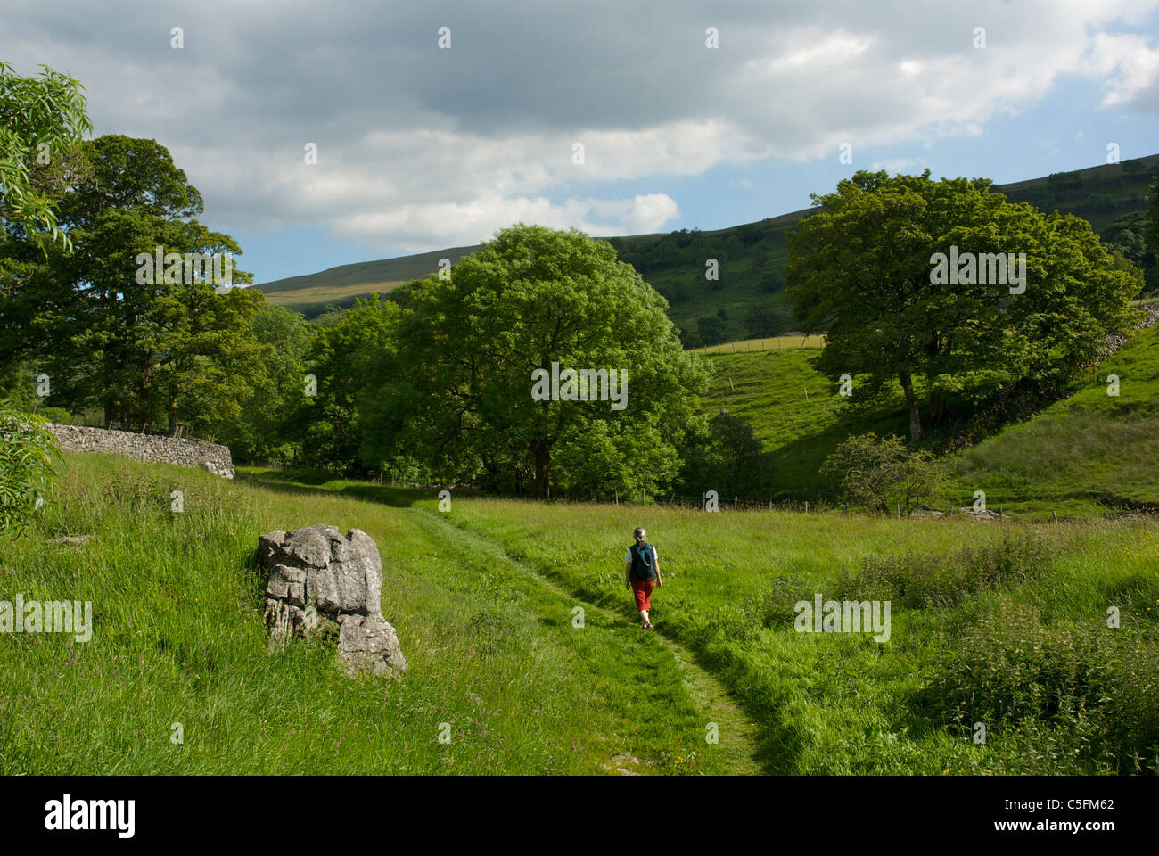 Female walker on path near Hubberholme on Dales Way in Upper Wharfedale, Yorkshire Dales National Park, England UK Stock Photo