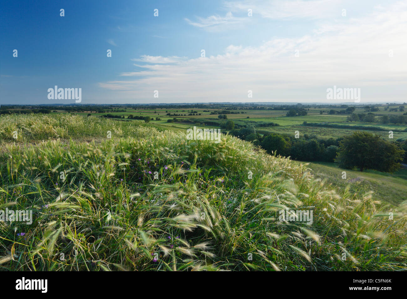 View over the Somerset Levels from Burrow Mump. Somerset. England. UK. Stock Photo