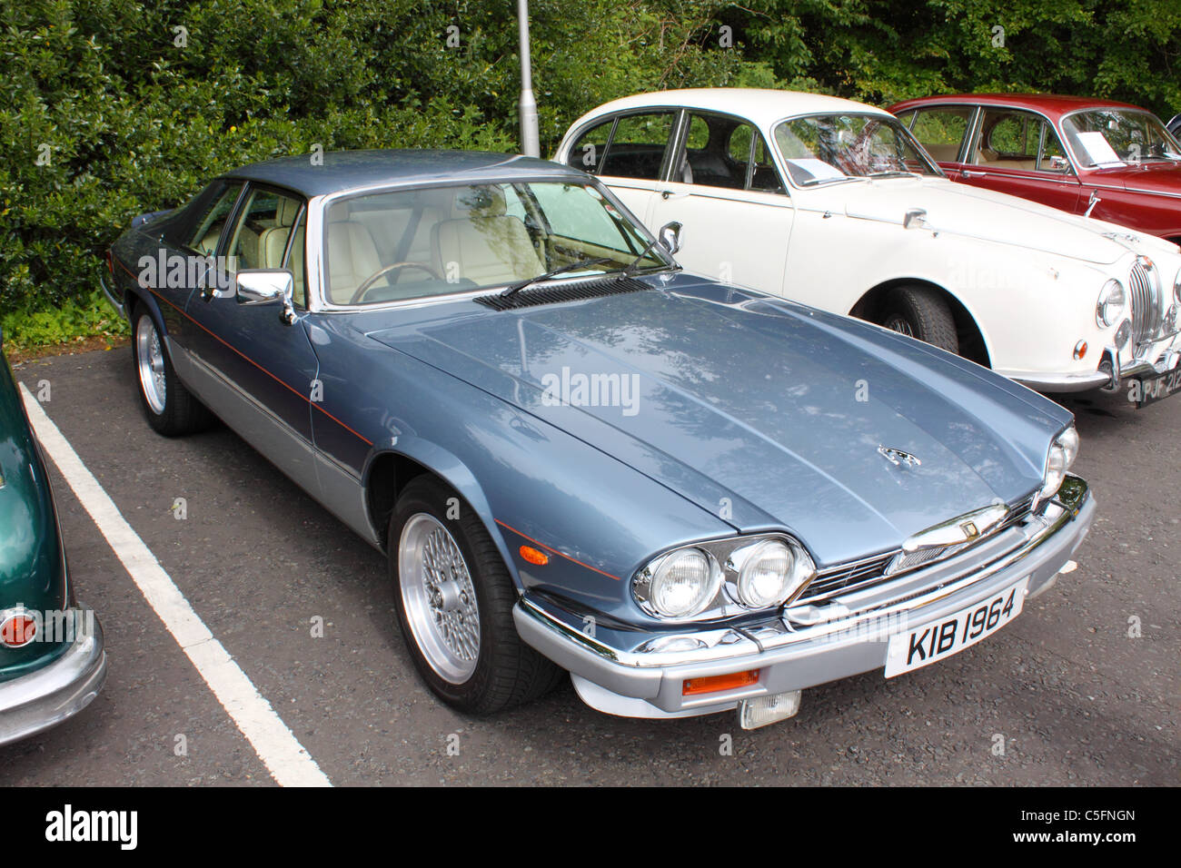 Jaguar XJ-S among a display of classic Jaguars at a car show in Cultra, Northern Ireland Stock Photo