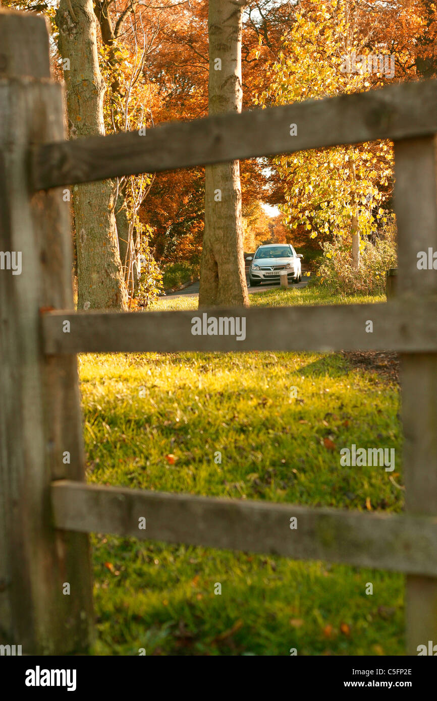 A silver car travelling along a country road through golden trees in the autumn sunlight. The car is framed by the fence in the Stock Photo