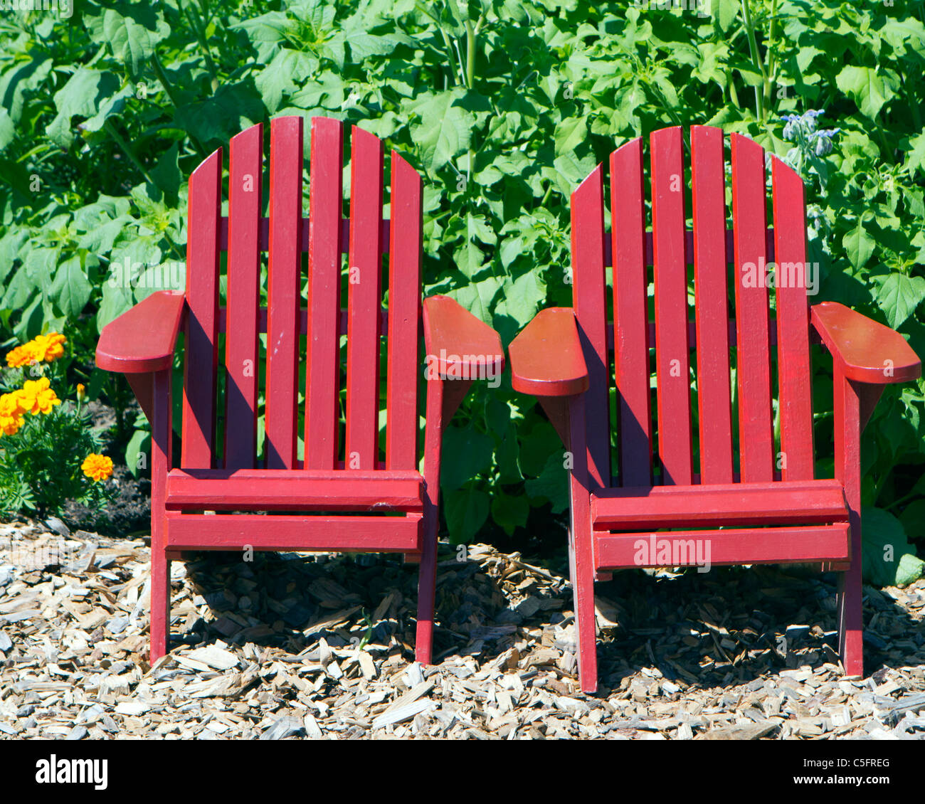 Two red Adirondack chairs in a row sitting in a garden Stock Photo Alamy