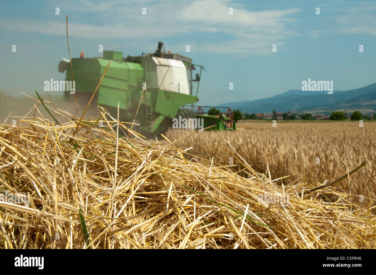 Tractor and combine harvesting. Sunny summer day Stock Photo - Alamy