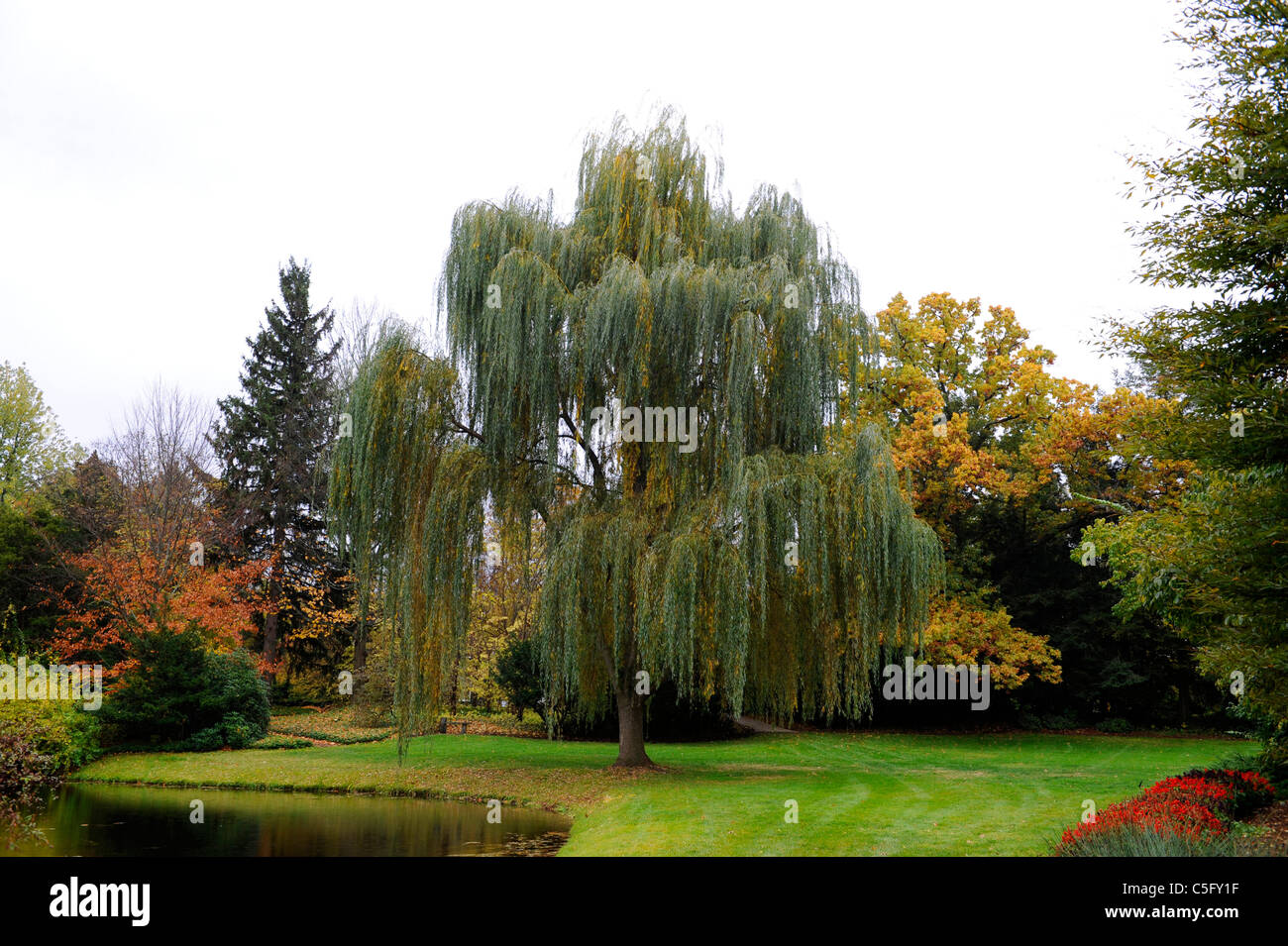 Willow Tree Dow Gardens Midland Michigan popular tourist attraction