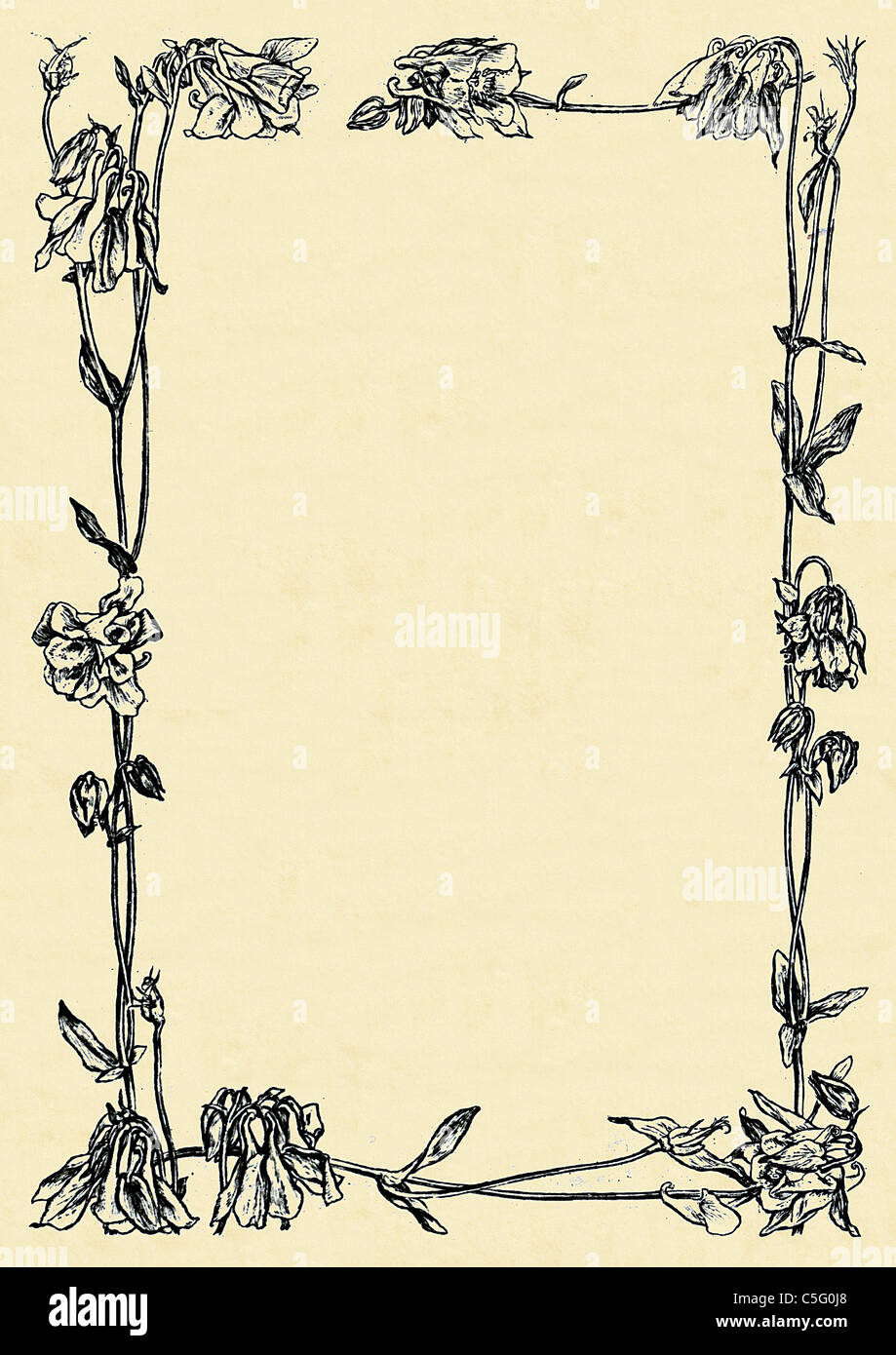 Vintage Decorative Border Design #4 from an antiquarian book ...