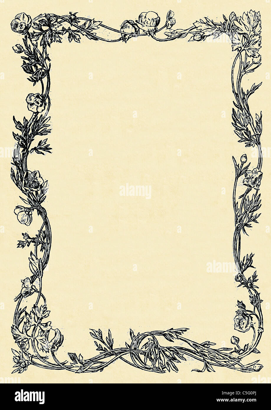 Vintage Decorative Border Design #5 from an antiquarian book illustration Stock Photo
