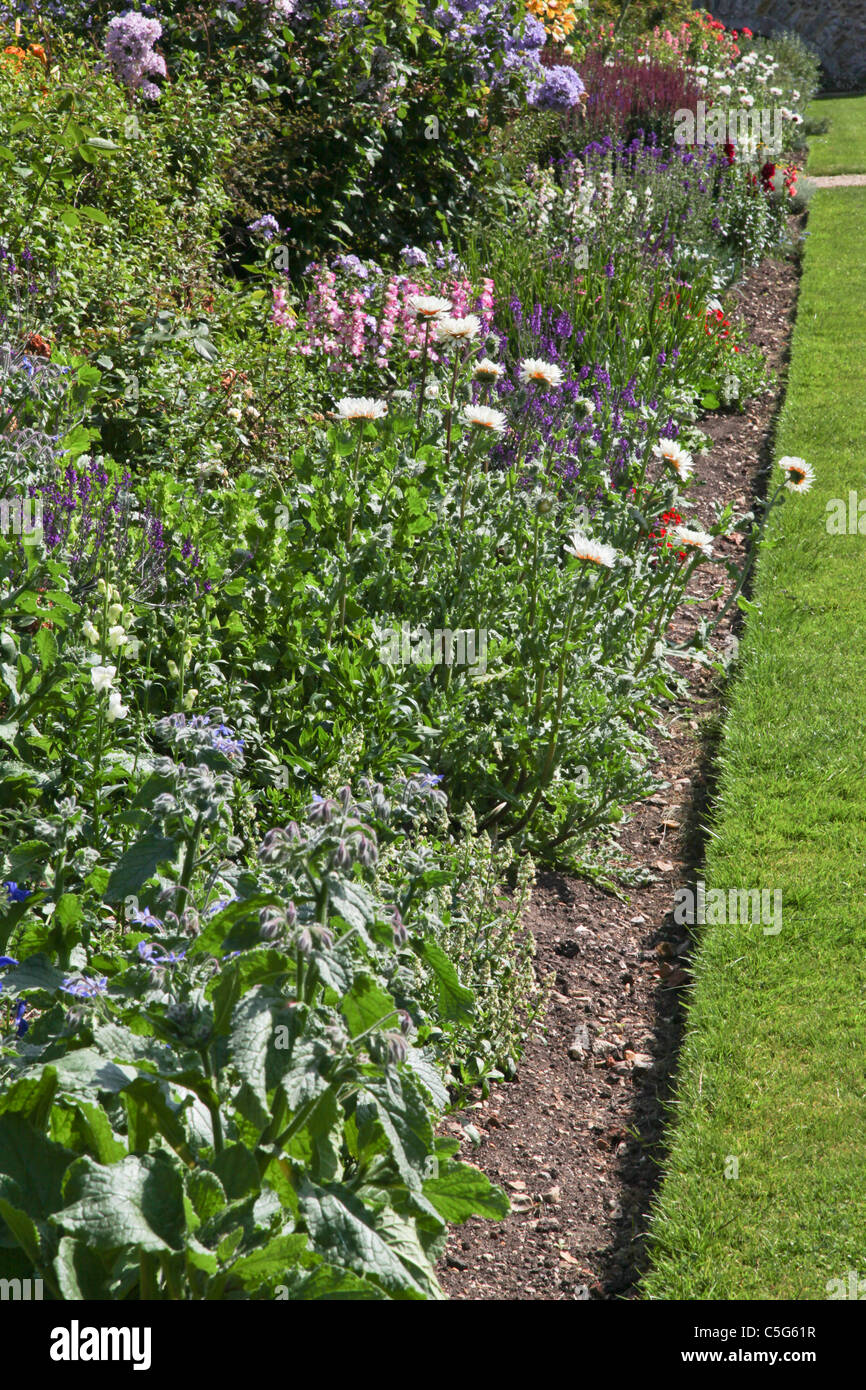 Herbaceous border in summer Stock Photo - Alamy