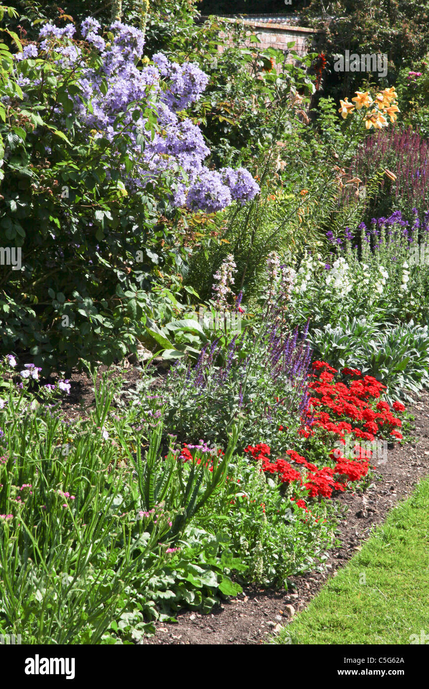 Herbaceous garden border Stock Photo - Alamy