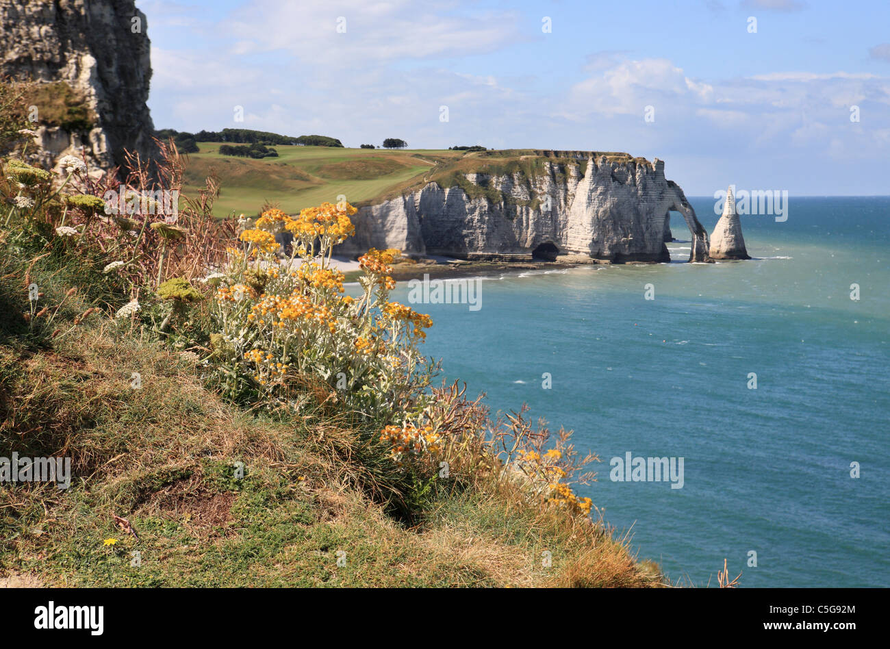 Falaise d'Aval or arch and the Aiguille or needle at Etretat in Normandy, France Stock Photo