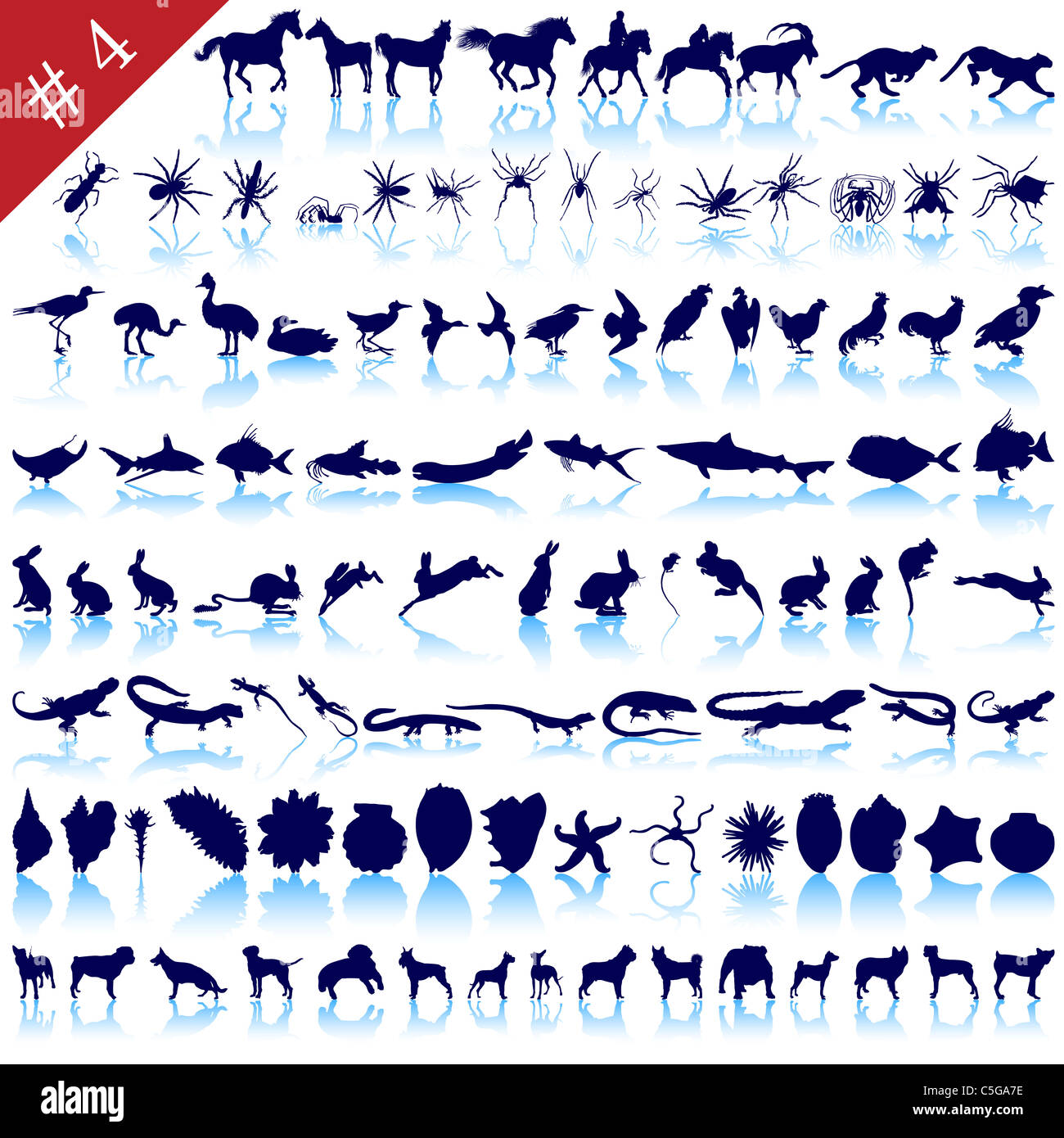 Set of different animals, birds, insects and fishes vector silhouettes  Stock Photo