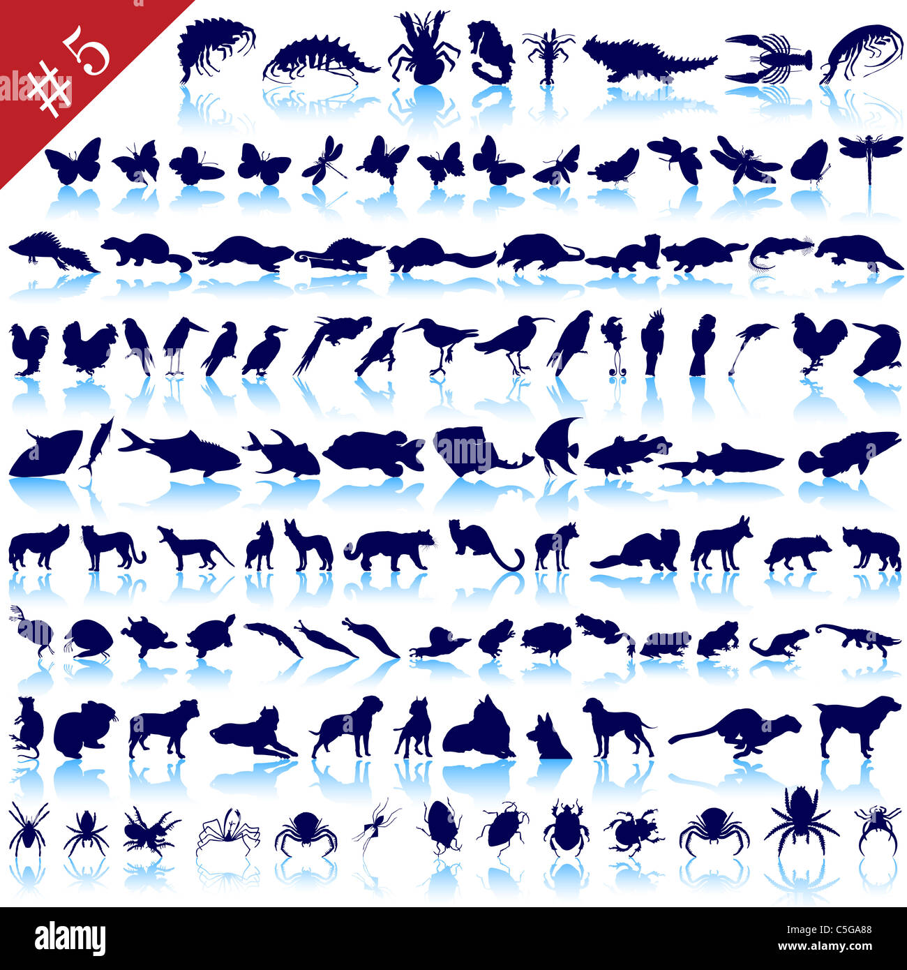 Set of different animals, birds, insects and fishes vector silhouettes  Stock Photo