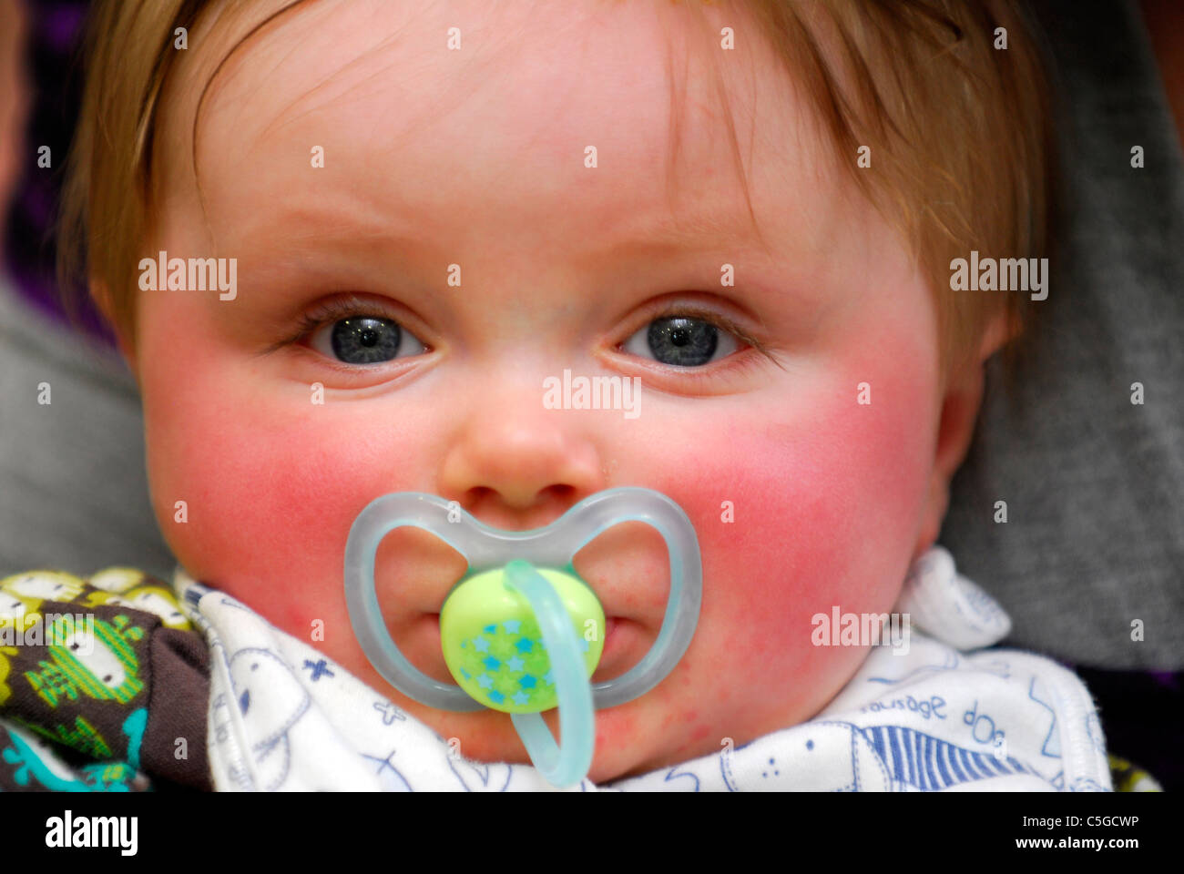 Baby in creche with dummy in mouth, Surrey, UK Stock Photo Alamy