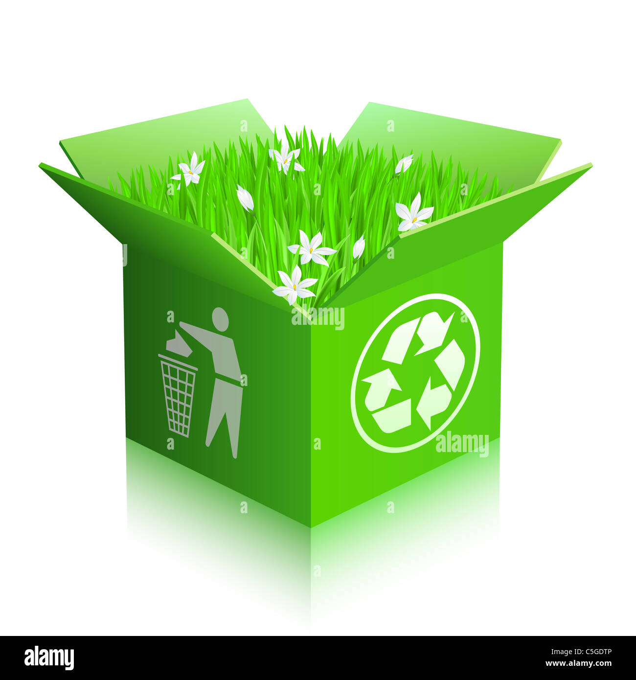 Open recycle shipping box with grass and flowers. Isolated Stock Photo