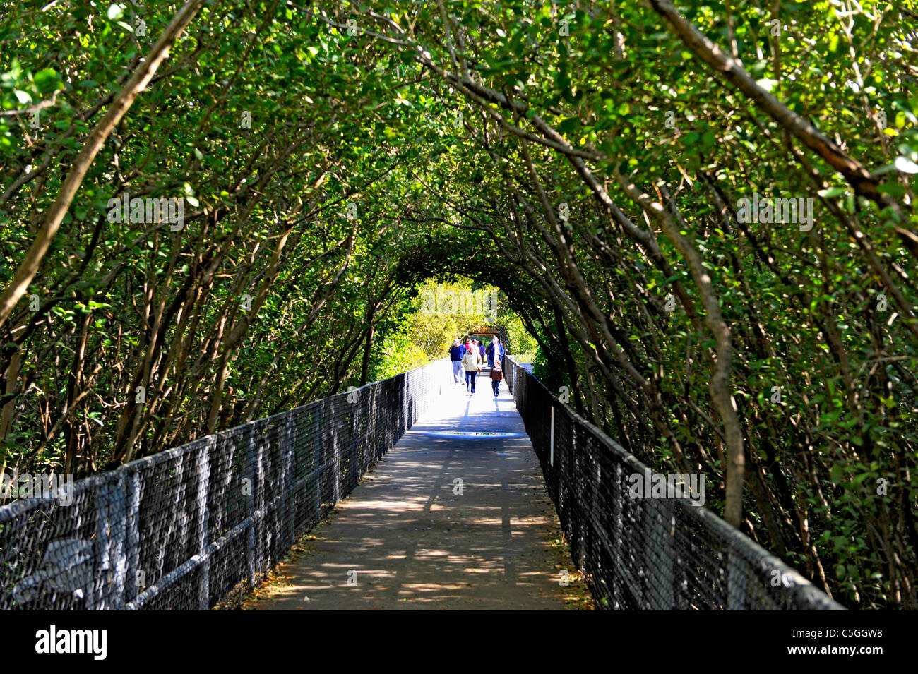 Viewing Center Manatee Viewing Center High Resolution Stock Photography and Images - Alamy