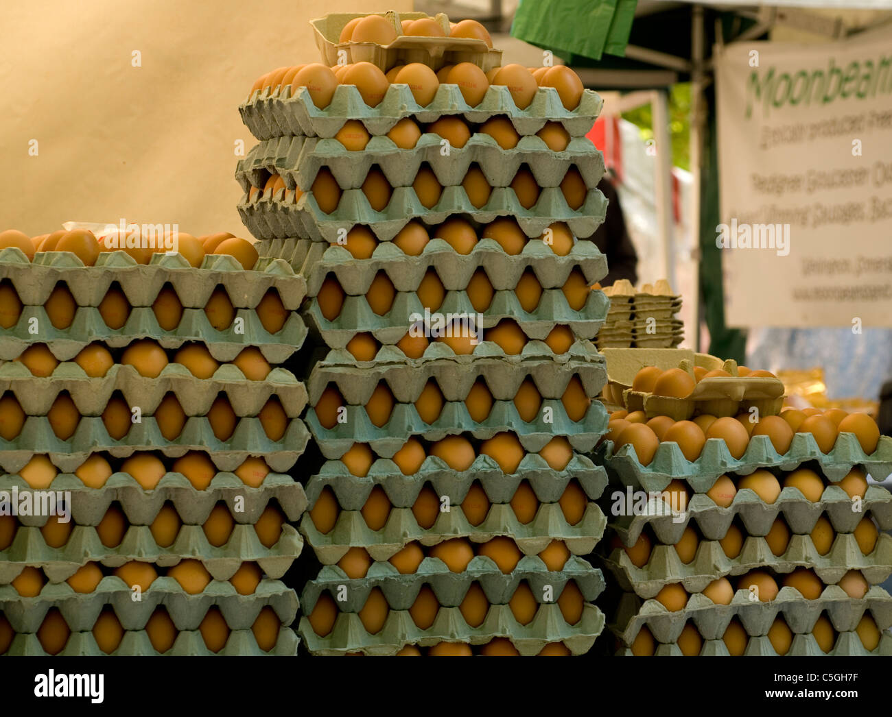 Trays of eggs Stock Photo