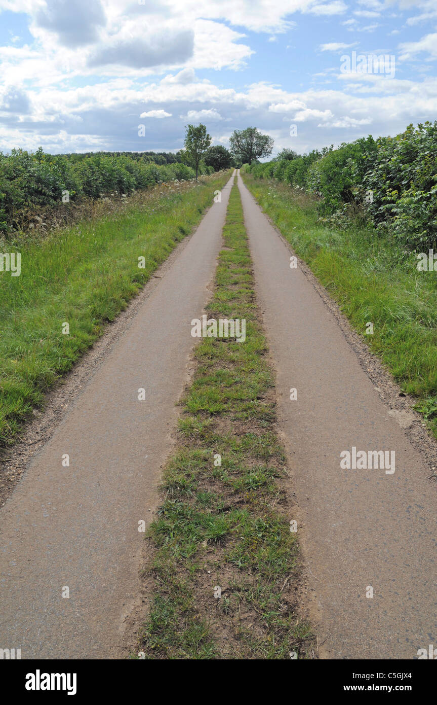Straight Narrow Country Lane with Grass Growing in the Middle of the Road Stock Photo