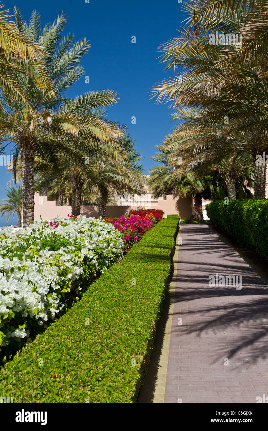 Flowers Of Oman High Resolution Stock Photography and Images Alamy