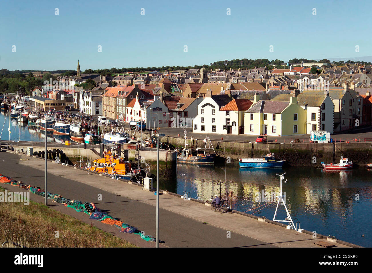 Fishing boats in harbour at Eyemouth Scottish Borders Stock Photo