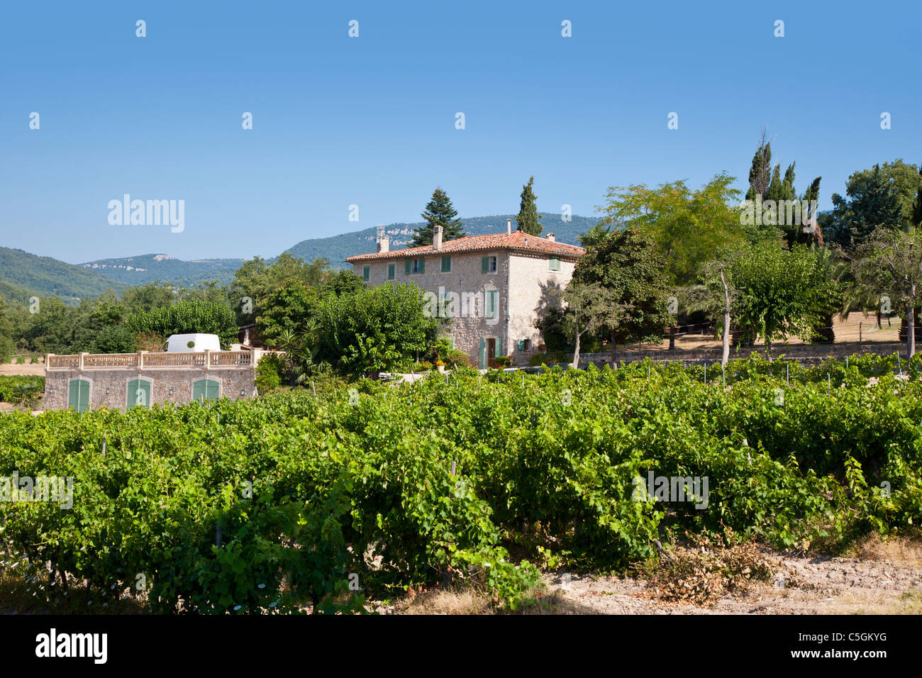 Vineyard and house, Provence, France Stock Photo Alamy