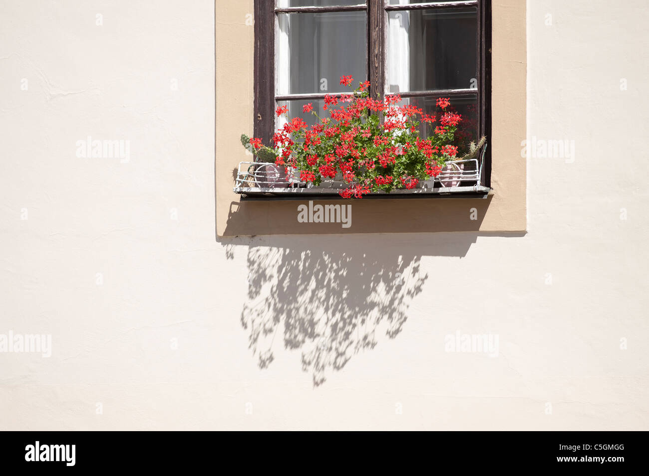 Prague - Historic house  windows and flowers Stock Photo