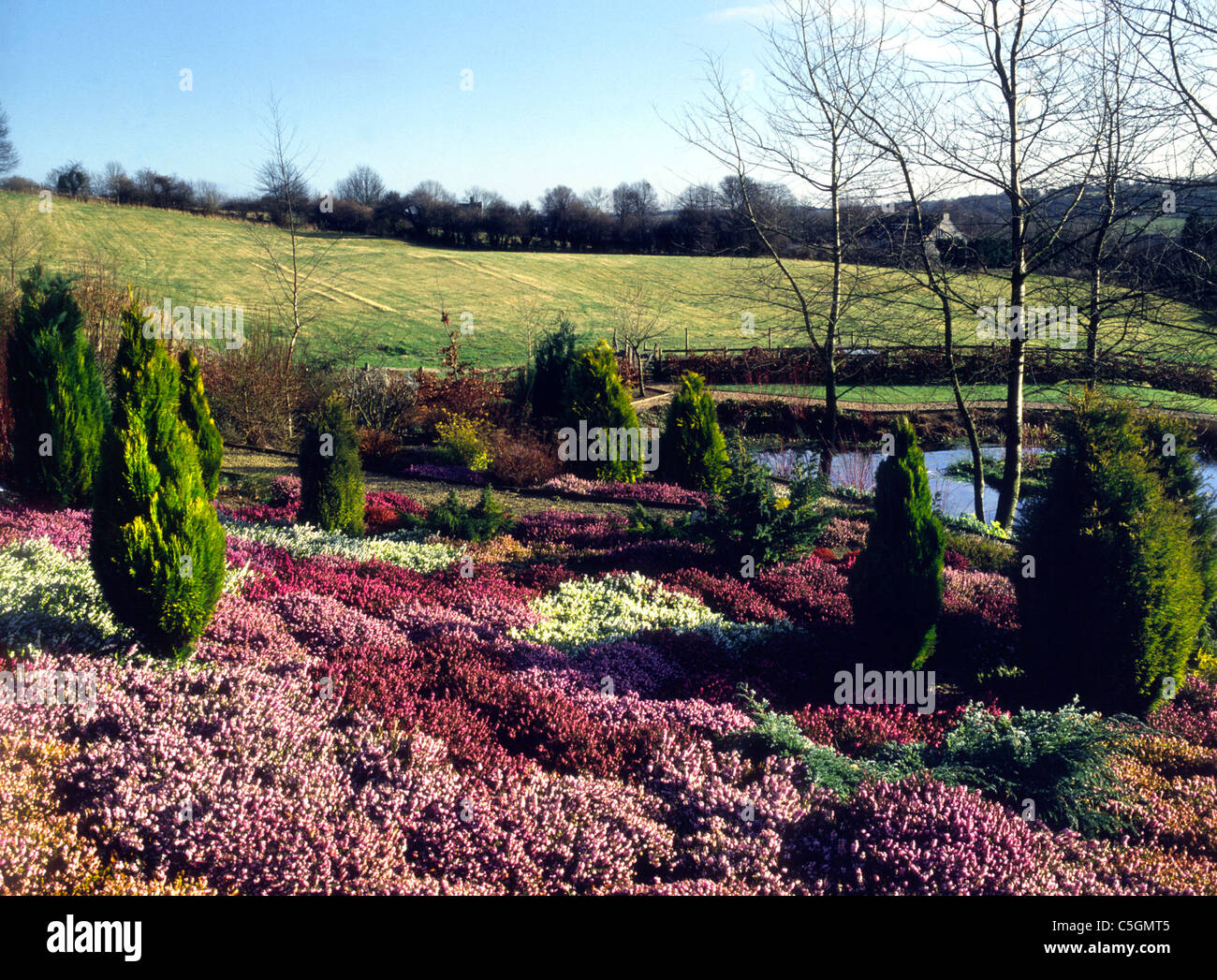 Heather Garden Winter Uk Stock Photos & Heather Garden Winter Uk Stock
