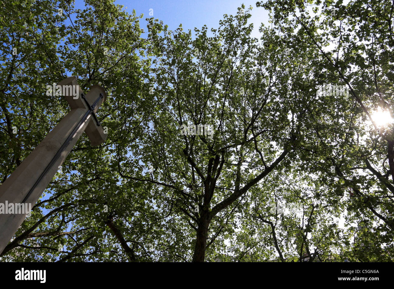 SLOANE SQUARE WAR MEMORIAL,viewed here at an extreme angled aspect and from an low level surrounded by London Plane Trees. Stock Photo