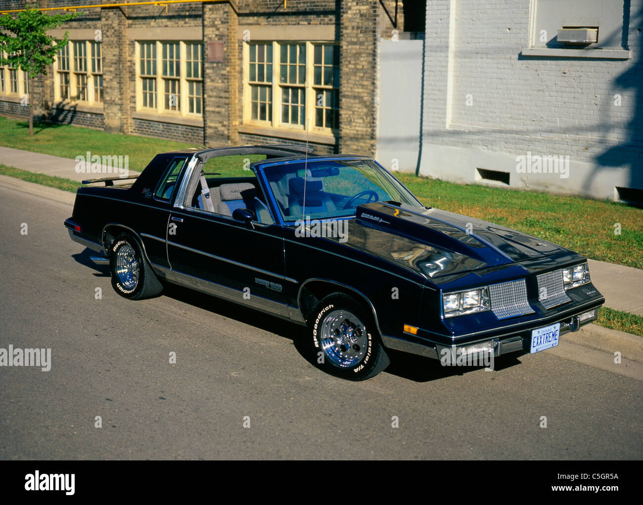Buyer's Guide: 1983-'84 Oldsmobile Hurst/Olds Hemmings | atelier-yuwa ...