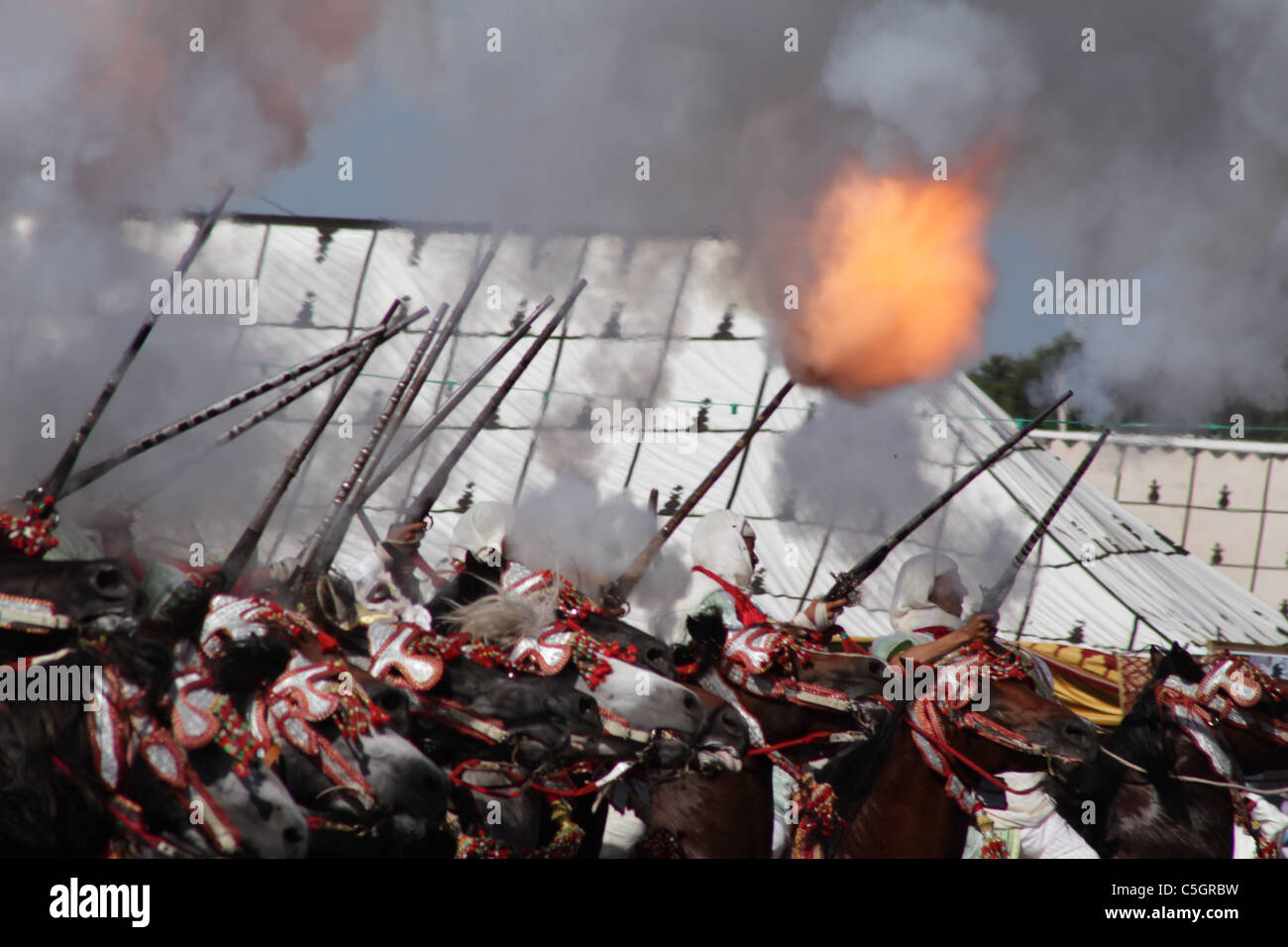 The Thrill of the Cavalry Firing in a Moroccan Fantasia Stock Photo