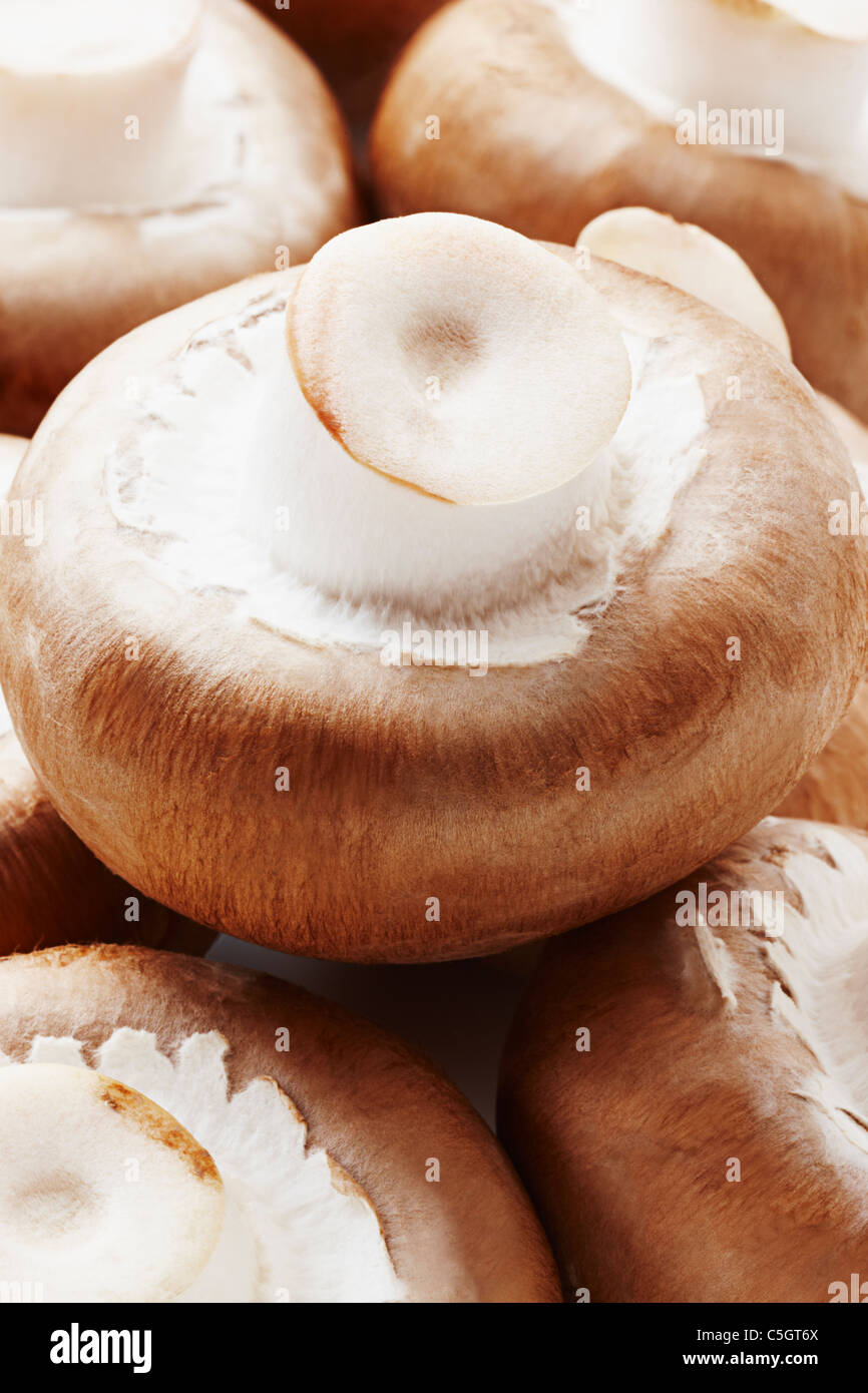 A group of Brown chesnut champion mushroom close up Stock Photo