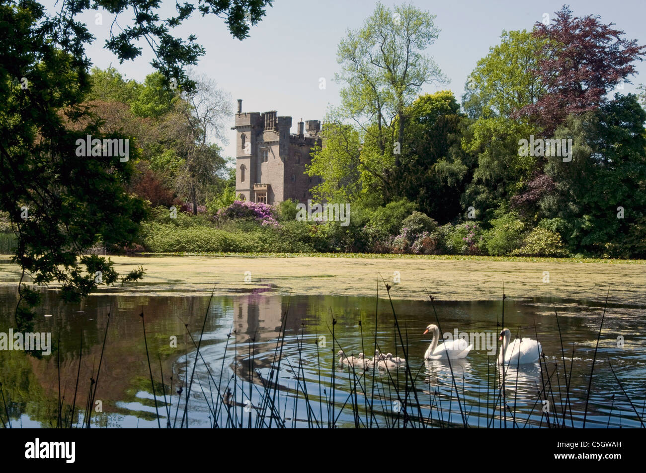 Duns Castle with ornamental pond and swans Stock Photo