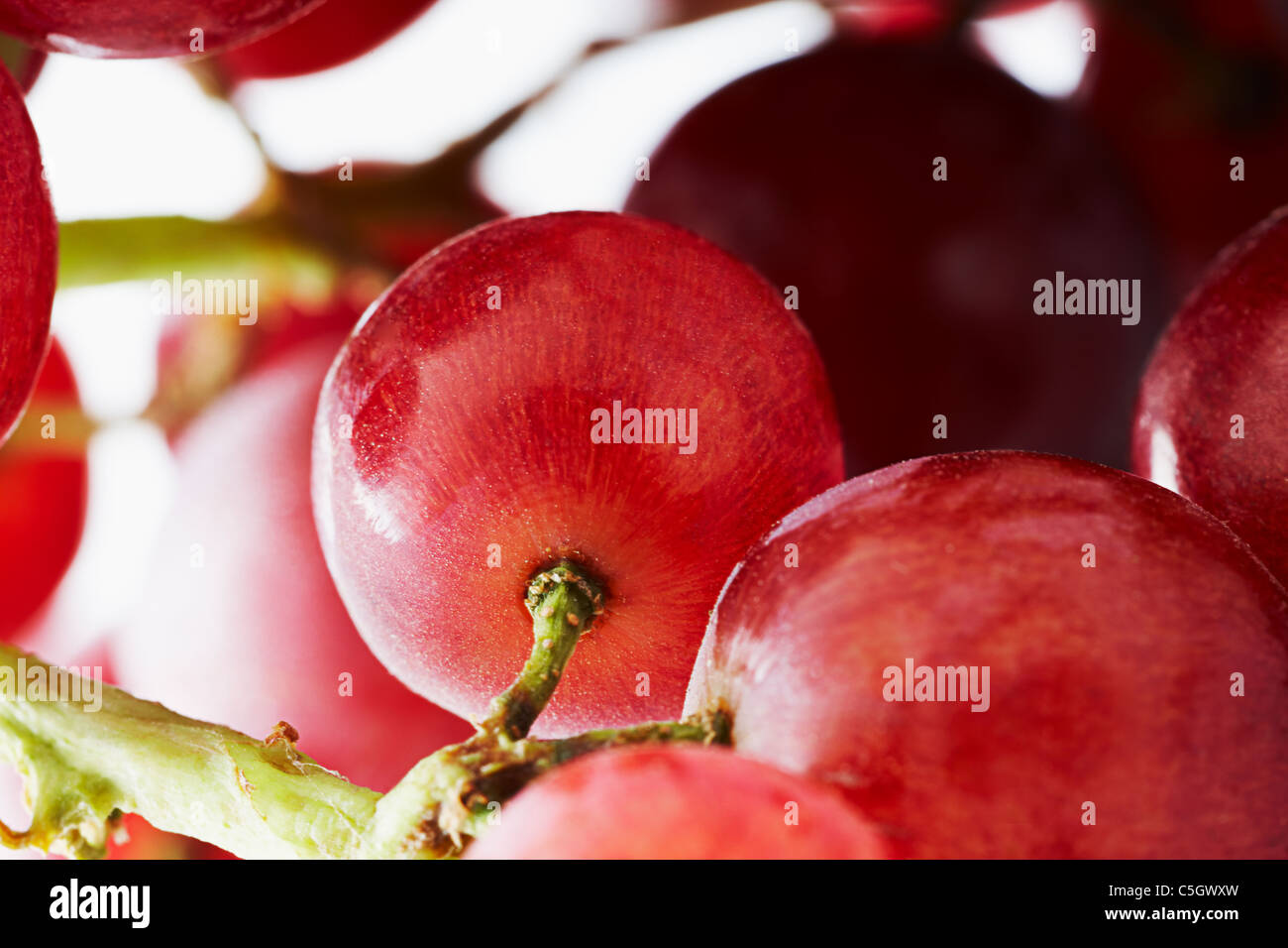 close up of a cluster of red grapes Stock Photo