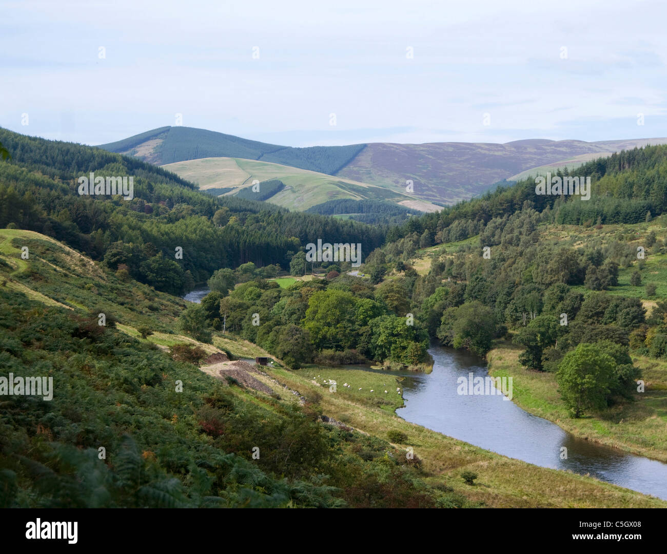 Ettrick Water & Bowhill - Selkirk - Scottish Borders Stock Photo