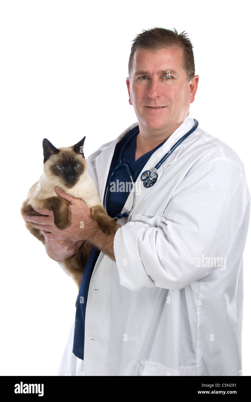 Male veterinarian holding a cat after an examination Stock Photo