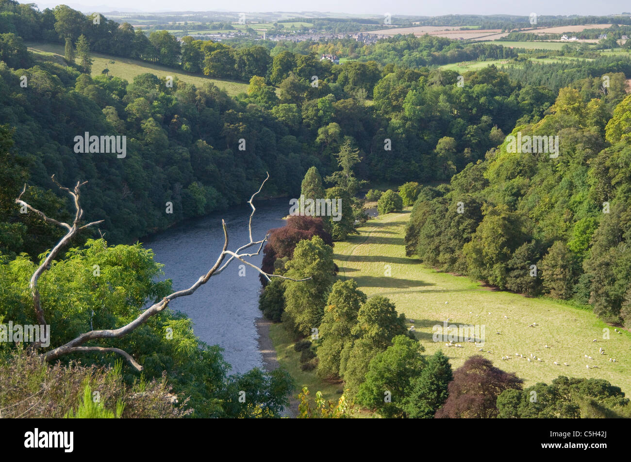 River Tweed by Scotts View Stock Photo - Alamy